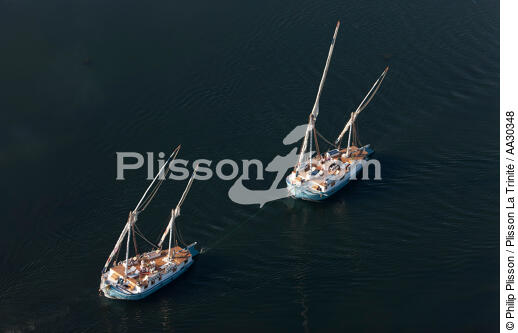 On Nile river. - © Philip Plisson / Plisson La Trinité / AA30348 - Photo Galleries - Egypt from above