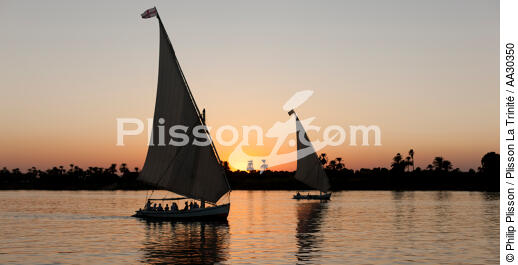 On Nile river. - © Philip Plisson / Plisson La Trinité / AA30350 - Photo Galleries - Felucca