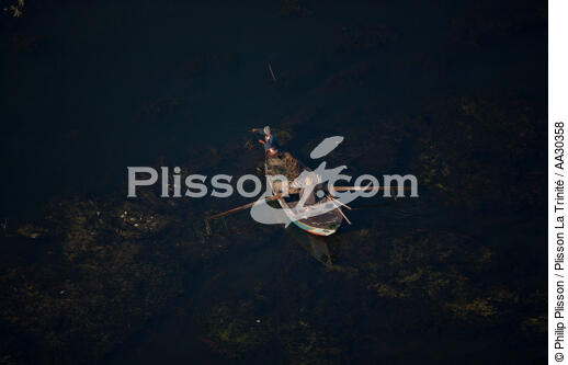 Sur le Nil. - © Philip Plisson / Plisson La Trinité / AA30358 - Nos reportages photos - L'Egypte vue du ciel
