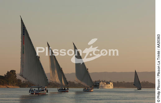 On Nile river. - © Philip Plisson / Plisson La Trinité / AA30363 - Photo Galleries - Felucca