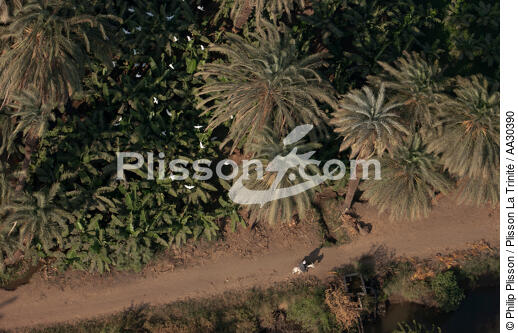 On the banks of the Nile - © Philip Plisson / Plisson La Trinité / AA30390 - Photo Galleries - Egypt from above