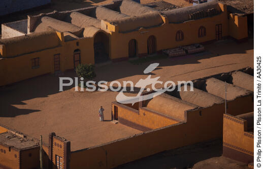 Village en bord de Nil, Egypte. - © Philip Plisson / Plisson La Trinité / AA30425 - Nos reportages photos - L'Egypte vue du ciel