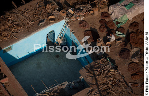 Drying of dates on the roofs, Egypt - © Philip Plisson / Plisson La Trinité / AA30435 - Photo Galleries - Egypt from above