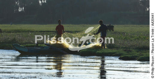 On the banks of the Nile. - © Philip Plisson / Plisson La Trinité / AA30441 - Photo Galleries - Fishing nets
