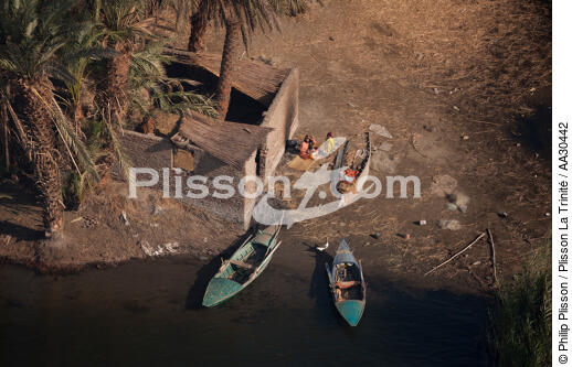 On the banks of the Nile. - © Philip Plisson / Plisson La Trinité / AA30442 - Photo Galleries - Egypt from above