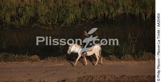 Sur les rives du Nil, Egypte - © Philip Plisson / Plisson La Trinité / AA30454 - Nos reportages photos - Nil [le]