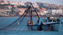 Fishing in front of Narbonne-Plage © Philip Plisson / Plisson La Trinité / AA30633 - Photo Galleries - From Cerbère to Adge