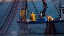 Pêche devant Narbonne-Plage © Philip Plisson / Plisson La Trinité / AA30638 - Nos reportages photos - Pêche
