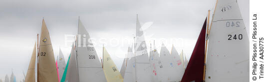 Festival de la voile of Ile aux Moines 2011 [AT] - © Philip Plisson / Plisson La Trinité / AA30775 - Photo Galleries - Yachting