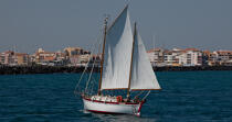 Old rigging before the Cap d'Agde [AT] © Philip Plisson / Plisson La Trinité / AA30830 - Photo Galleries - Traditional sailing