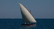 Old rigging before the Cap d'Agde [AT] © Philip Plisson / Plisson La Trinité / AA30831 - Photo Galleries - Traditional sailing