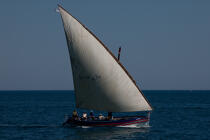 Old rigging before the Cap d'Agde [AT] © Philip Plisson / Plisson La Trinité / AA30832 - Photo Galleries - Traditional sailing