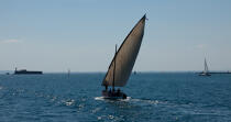 Old rigging before the Cap d'Agde [AT] © Philip Plisson / Plisson La Trinité / AA30835 - Photo Galleries - Traditional sailing