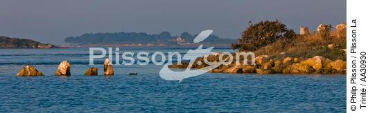 Morning in the Gulf of Morbihan - © Philip Plisson / Plisson La Trinité / AA30930 - Photo Galleries - Megalith