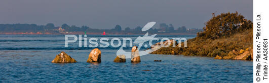 Morning in the Gulf of Morbihan - © Philip Plisson / Plisson La Trinité / AA30931 - Photo Galleries - Island [56]