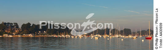 Morning in the Gulf of Morbihan - © Philip Plisson / Plisson La Trinité / AA30939 - Photo Galleries - Mooring