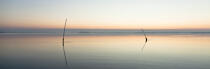 Morning in the Gulf of Morbihan © Philip Plisson / Plisson La Trinité / AA30942 - Photo Galleries - Dawn