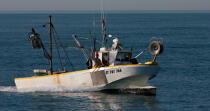 Petite pêche devant Le Grau du Roi © Philip Plisson / Plisson La Trinité / AA30954 - Nos reportages photos - Pêche