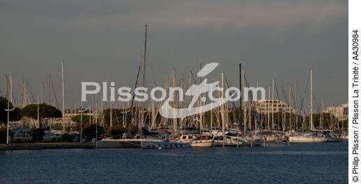 Le Grau du Roi - © Philip Plisson / Plisson La Trinité / AA30984 - Nos reportages photos - Port Camargue
