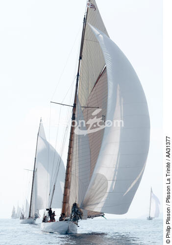 Monaco Classic Week 2011 - © Philip Plisson / Plisson La Trinité / AA31377 - Nos reportages photos - Yachting