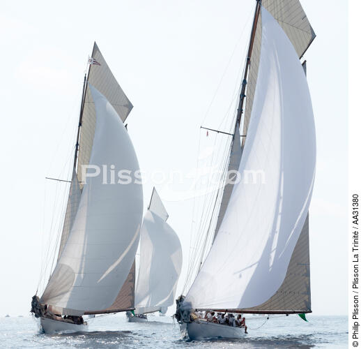 Monaco Classic Week 2011 - © Philip Plisson / Plisson La Trinité / AA31380 - Photo Galleries - Yachting