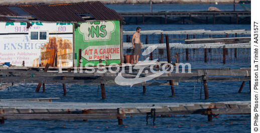 La Seyne sur mer - © Philip Plisson / Plisson La Trinité / AA31577 - Nos reportages photos - Conchyliculture