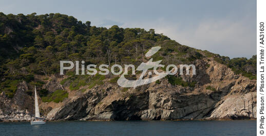 Porquerolles - © Philip Plisson / Plisson La Trinité / AA31630 - Photo Galleries - Island [83]