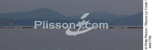 Toulon - © Philip Plisson / Plisson La Trinité / AA31708 - Nos reportages photos - Toulon