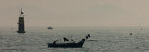 Petite pêche devant Sainte Maxime © Philip Plisson / Plisson La Trinité / AA31811 - Nos reportages photos - De Porquerolles à Théoule-sur-mer