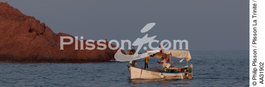 Or island in Saint-Raphaël - © Philip Plisson / Plisson La Trinité / AA31902 - Photo Galleries - Small boat