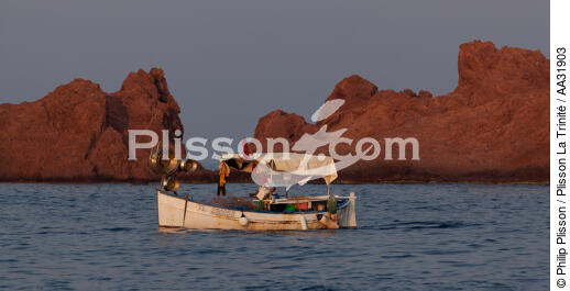 Or island in Saint-Raphaël - © Philip Plisson / Plisson La Trinité / AA31903 - Photo Galleries - Small boat