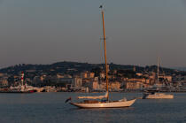 The old port of Cannes © Philip Plisson / Plisson La Trinité / AA32122 - Photo Galleries - Provence Alpes Côte-d'Azur
