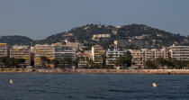 Cannes © Philip Plisson / Plisson La Trinité / AA32135 - Photo Galleries - Provence Alpes Côte-d'Azur