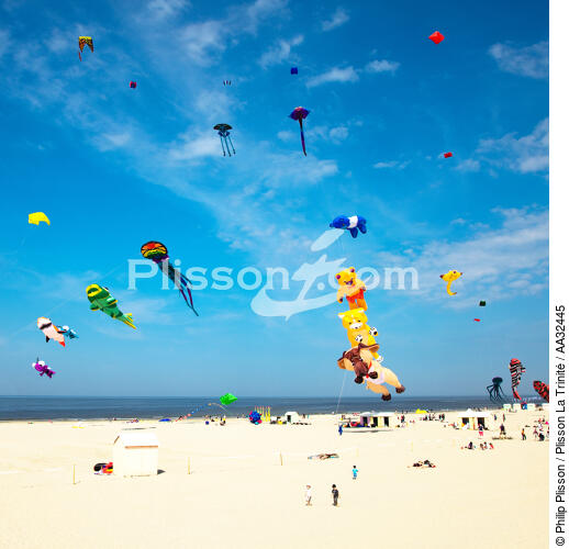 International Meetings of kites in Berck sur Mer [AT] - © Philip Plisson / Plisson La Trinité / AA32445 - Photo Galleries - Square format