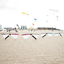 International Meetings of kites in Berck sur Mer [AT] © Philip Plisson / Plisson La Trinité / AA32446 - Photo Galleries - Nord-Pas-de-Calais