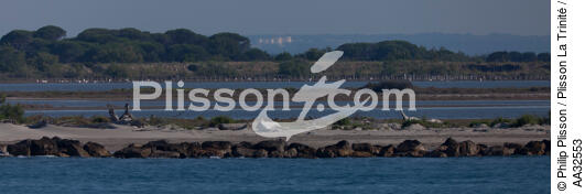 Paysage des Saintes Marie de la mer - © Philip Plisson / Plisson La Trinité / AA32553 - Nos reportages photos - Ville [13]