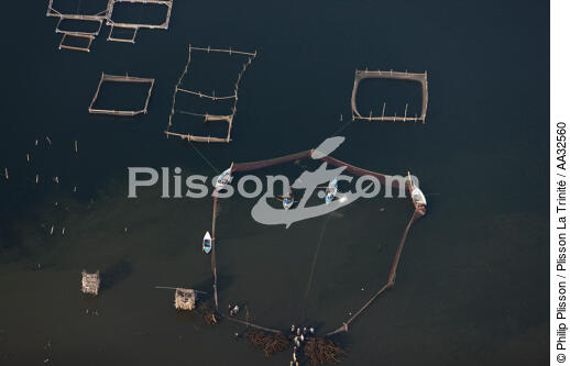 Fishery in the Nile Delta - © Philip Plisson / Plisson La Trinité / AA32560 - Photo Galleries - Egypt