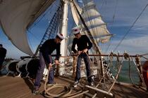 The School of foam aboard the Belem [AT] © Philip Plisson / Plisson La Trinité / AA32646 - Photo Galleries - Tall ships