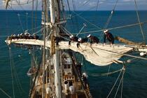 L'Ecole des Mousse à bord du Belem © Philip Plisson / Plisson La Trinité / AA32665 - Nos reportages photos - Les Grands voiliers