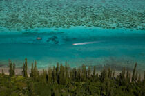 Iles des Pins © Philip Plisson / Plisson La Trinité / AA32712 - Photo Galleries - Lagoon