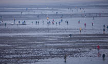 Fishing at low tide © Philip Plisson / Plisson La Trinité / AA33176 - Photo Galleries - Morbihan