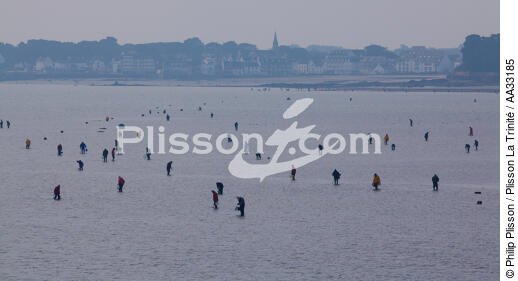Fishing at low tide - © Philip Plisson / Plisson La Trinité / AA33185 - Photo Galleries - Fishing on foot for shellfish at low tide