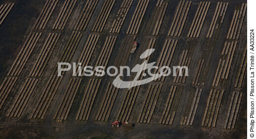 Bay of Painpol - © Philip Plisson / Plisson La Trinité / AA33224 - Photo Galleries - Oyster farming