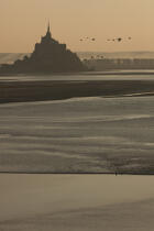 Mont-Saint-Michel bay tidal bore © Philip Plisson / Plisson La Trinité / AA33405 - Photo Galleries - Wave