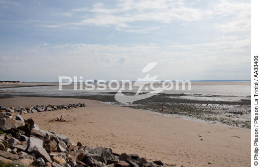 Mont-Saint-Michel bay - © Philip Plisson / Plisson La Trinité / AA33406 - Photo Galleries - Low tide
