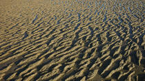 La Bernerie en Retz © Philip Plisson / Plisson La Trinité / AA33492 - Photo Galleries - Sand
