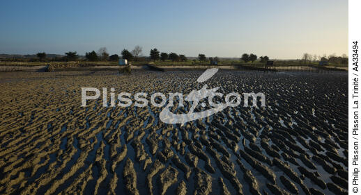 La Bernerie en Retz - © Philip Plisson / Plisson La Trinité / AA33494 - Photo Galleries - Low tide