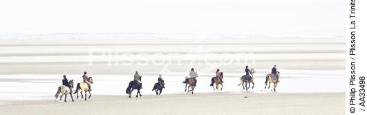 On the beach in Le Touquet - © Philip Plisson / Plisson La Trinité / AA33498 - Photo Galleries - Horse