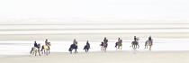On the beach in Le Touquet © Philip Plisson / Plisson La Trinité / AA33498 - Photo Galleries - Horse