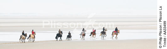 Sur la plage du Touquet - © Philip Plisson / Plisson La Trinité / AA33499 - Nos reportages photos - Cheval